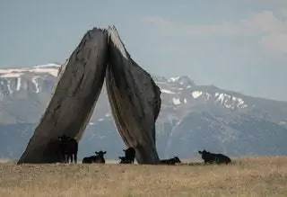 Арт-центр Tippet Rise Ensamble Studio the Inverted Portal 2016. Изображение предоставлено Арт-центром Tippet Rise. фото