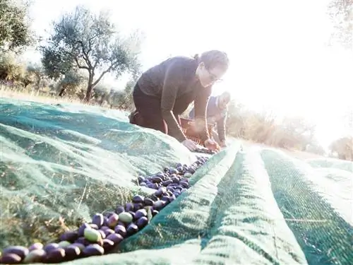 На изображении может находиться человек на улице и в саду