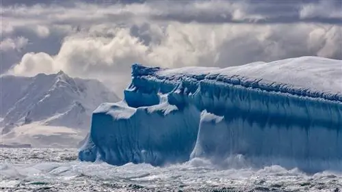 Писательница Джиа Толентино потратила деньги на книгу в круизе по Южной Америке
