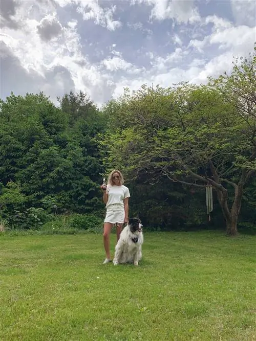 Трюковое зеркало Джиа Толентино