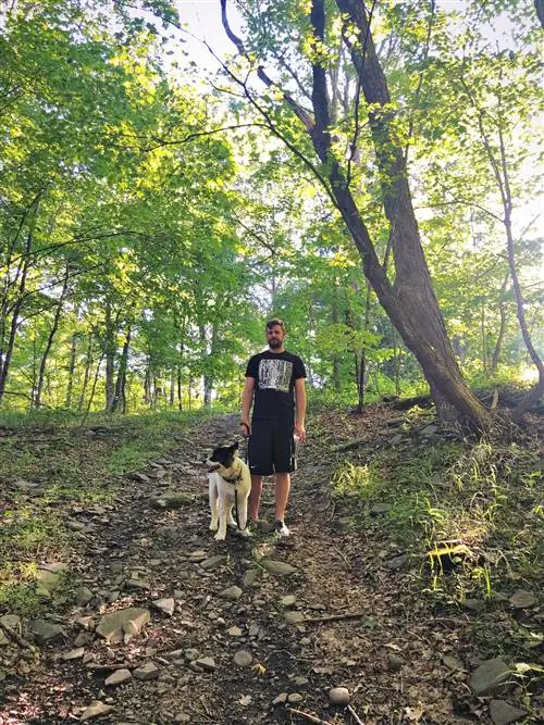 Трюковое зеркало Джиа Толентино