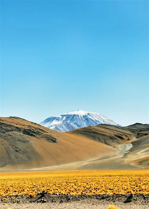 Журнал Cond Nast Traveller СентябрьОктябрь 2019 г. Atacama Slow Motion Road Trips