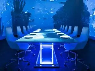На изображении может находиться мебель стул вода освещение животные аквариум и морская жизнь