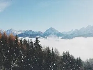 На изображении может находиться дерево растение природа на улице гора горный хребет пихта Abies Peak Ice and Conifer
