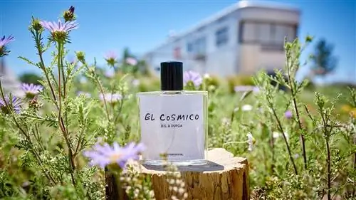 Парфюмерная коллаборация – это Марфа во флаконе