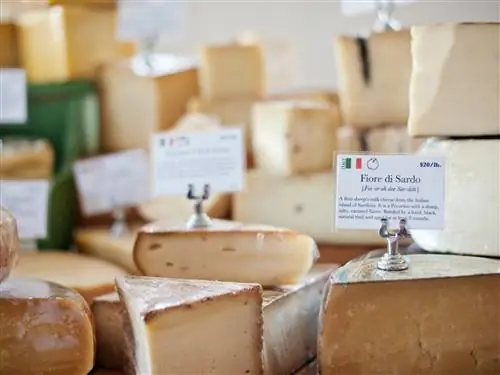 На изображении может находиться еда хлеб бри помадка десерт шоколад кондитерские изделия и сладости