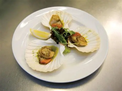 На изображении может находиться еда блюдо еда кулинария и растение