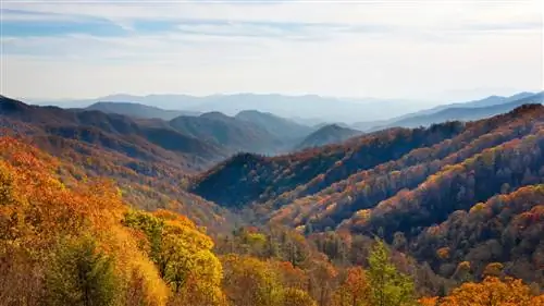 Туры Fall Foliage по США и Канаде