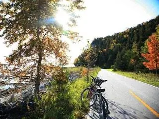 Это изображение может содержать транспортное средство, велосипед, велосипед, колесо, машина, дерево, горный велосипед, свет и сигнальная ракета.