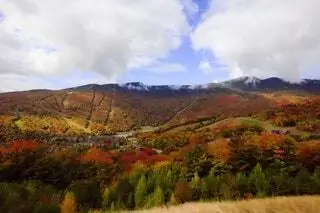 На изображении может находиться природа на улице плато сельская местность холм горное растение дерево горный хребет пихта и пихта