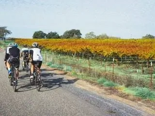 На изображении может находиться человек автомобиль транспорт велосипед велосипед на улице дорога природа асфальт асфальт и шлем