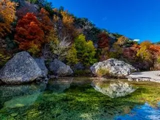 На изображении может находиться природа вода на улице дерево растение ель пихта и пейзажи