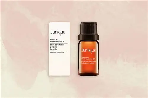 На изображении может находиться бутылка и шейкер