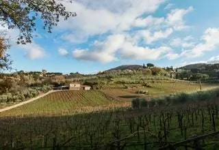 Кантина Рибела Экскурсии по Риму