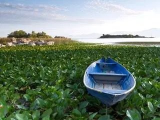 Это изображение может содержать транспортное средство, судно, плавсредство, лодку и гребную лодку.