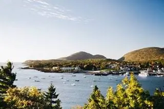 На изображении может находиться дерево Растение Пихта Abies Promontory Природа на открытом воздухе Вода Земля Океан Море Береговая линия и ландшафт