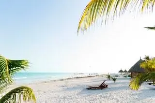 На изображении может находиться лето тропики на открытом воздухе природа океан вода море транспорт транспорт лодка и береговая линия