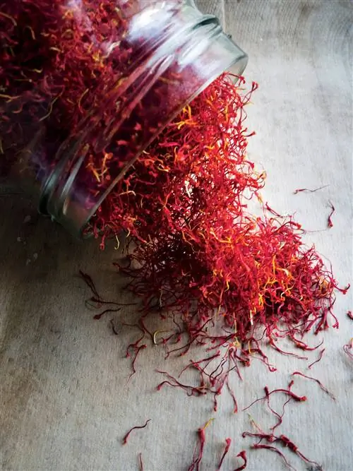 На изображении может находиться гончарная ваза и кувшин с растительным мхом