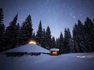 На изображении может находиться дерево растение пихта Abies природа на открытом воздухе кемпинг и сосна