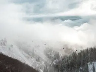 На изображении может находиться природа на улице погода дерево растение ель пихта и туман