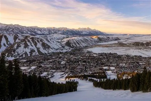 На изображении может находиться на улице природа гора горный хребет дерево растение пихта Abies Plateau Peak Land пейзажи и лед