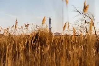 Около двух с половиной часов езды плюс 30-минутная поездка на пароме.