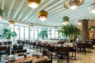 Новиков Майами Бранч