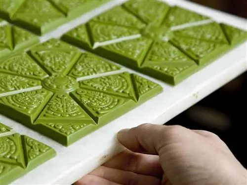 На изображении может находиться электроника Компьютерная клавиатура Компьютерное оборудование Компьютерная клавиатура Аппаратное обеспечение Человек и еда