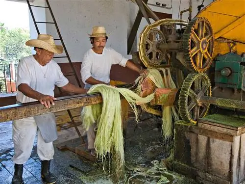 Это изображение может содержать человеческую одежду, одежду, шляпу, колесо и машину.