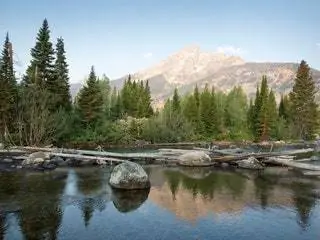 На изображении может находиться пихта пихта растение вода природа на улице хвойные земли и дикая местность