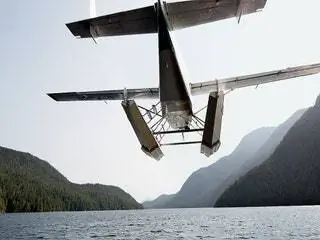 На изображении может находиться транспортное средство самолет самолет животное птица и полет