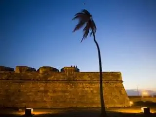 На изображении может находиться растение Arecaceae Tree Palm Tree Castle Building and Architecture