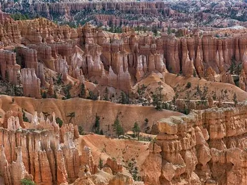 Desert High: идеальное путешествие по юго-западу Америки