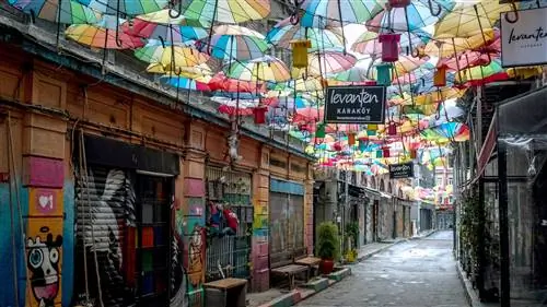 Карантин из-за коронавируса: взгляд на пустые улицы, шоссе и мосты от Парижа до Флориды