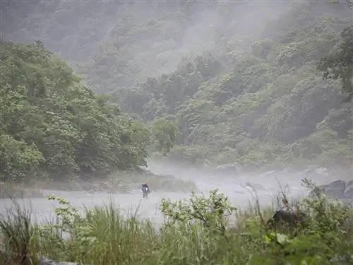 Это изображение может содержать Погода Природа На открытом воздухе Туман Туман Искусство и живопись