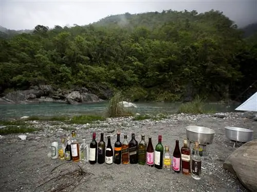 На изображении может находиться пить пиво, алкоголь, бутылка для напитков и бутылка пива