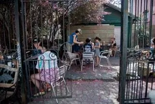 Бранч Сацума в Новом Орлеане