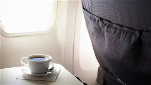 Безопасно ли пить кофе или чай в самолетах?