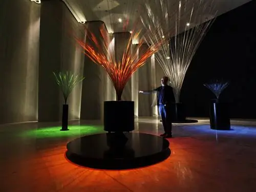 На изображении может находиться напольное покрытие, человек, освещение, пол, дерево, дизайн интерьера, в помещении, деревянный коридор и комната.