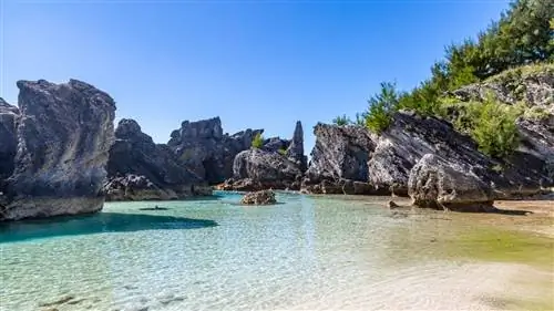 Лучшие пляжи Бермудских островов, от скрытых гротов до ромовых баров