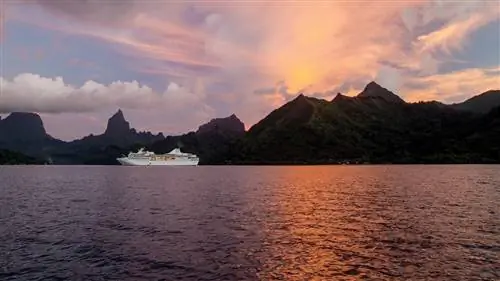 Почему продление клятвы назначения в море становится настолько популярным