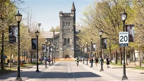 Торонто Ричарда Флориды: послеобеденные прогулки и умопомрачительная паста