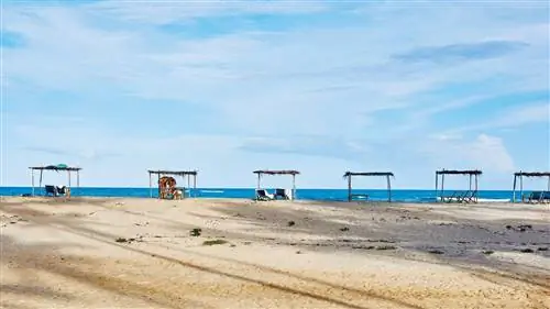 Исследуйте тихую сторону Бразилии в Trancoso