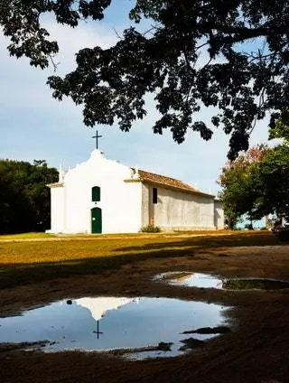 Это изображение может содержать Растение Трава Лужа Человек Дерево Шпиль Здание Шпиль Архитектура и Башня