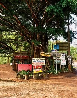 На изображении может находиться на улице растение дерево человек человек сад дорога и тропинка