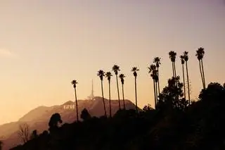 На изображении может находиться природа на улице дерево растение пальма Arecaceae силуэт небо закат закат рассвет и красное небо