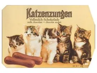 На изображении может находиться животное кошка мэнкс млекопитающее домашнее животное и котенок