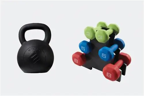 Гантели - это всегда классика.