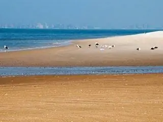 Это изображение может содержать Природа На открытом воздухе Животные Птицы Песок Океан Вода Море Береговая линия Земля Почва Земля и пляж