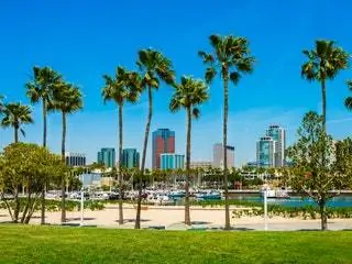 На изображении может находиться Summer Tree Plant City Town Urban Building Downtown Palm Tree Arecaceae Tropical and Grass